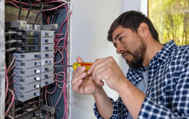 Best Electric Panel Repair  in Villas, FL